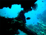 Bali Dive Point In Tulamben East Bali Beach